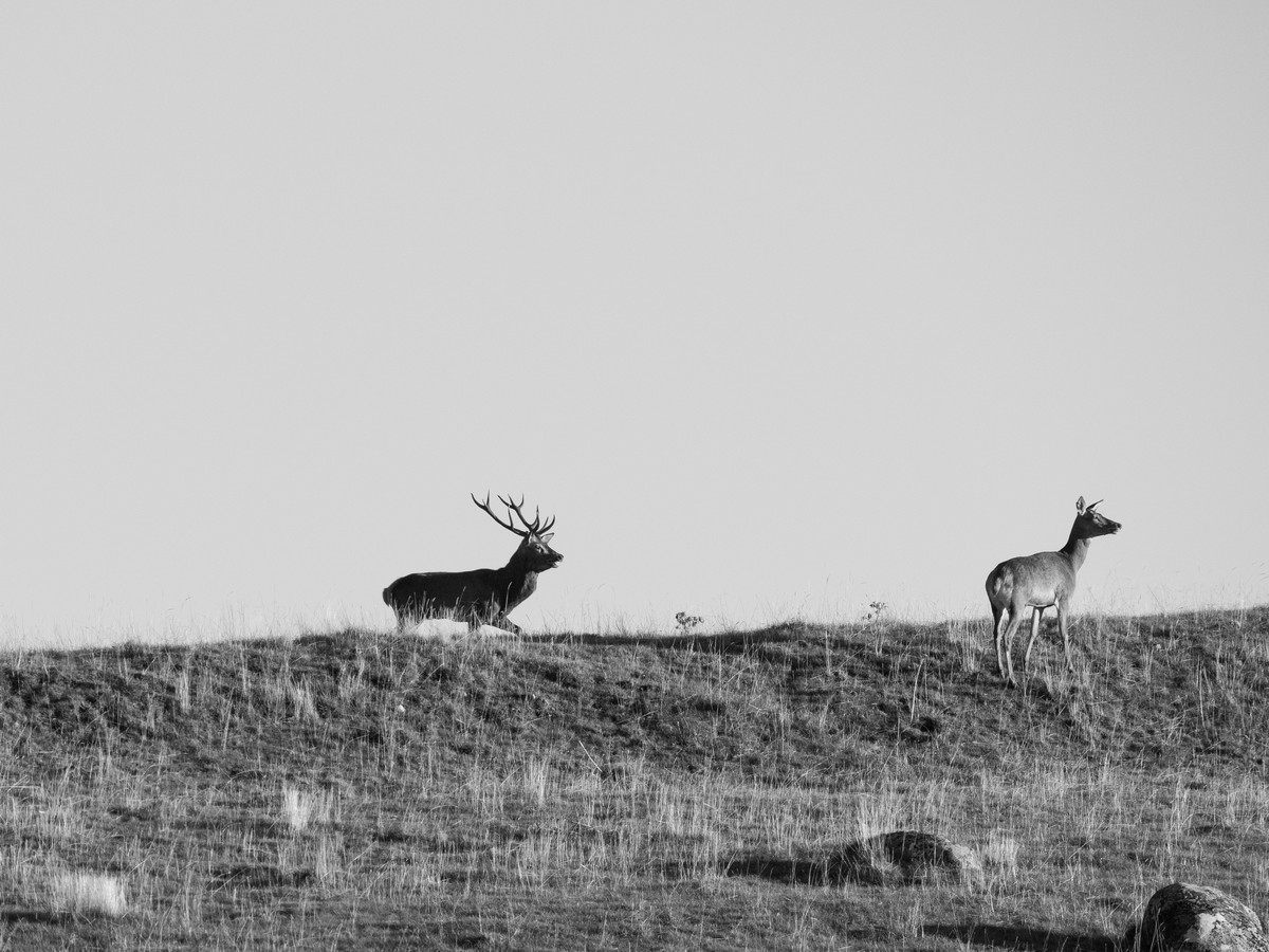 06102025-06 10 25 (9).jpg